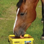 Horslyx 15kg garlic balancer