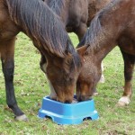 Horslyx 15kg holder