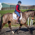Horslyx Ambassador Bonnie Fishburn