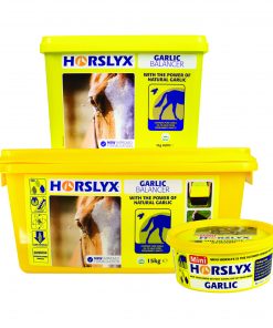 650g 5kg 15kg Horslyx Garlic Balancer Group Pack Shot