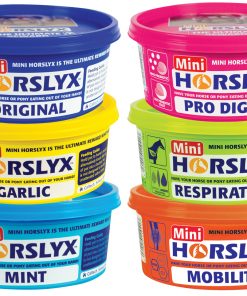 650g Mini Horslyx Group PAck Shot