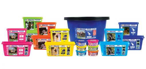 Horslyx Group Pack Shot including 650g 5kg 15kg and 80kg