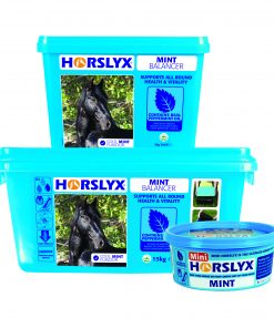 650g 5kg 15kg Horslyx Mint Balancer Group Pack Shot