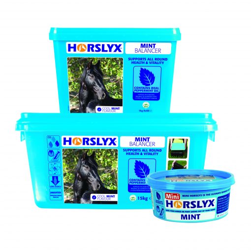 650g 5kg 15kg Horslyx Mint Balancer Group Pack Shot