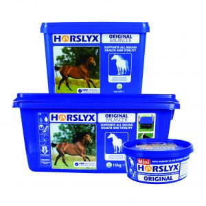 Horslyx Original Balancer