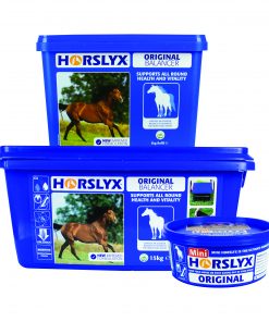 650g 5kg 15kg Horslyx Original Balancer Group Pack Shot