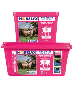 5kg + 15kg Horslyx Pro Digest Balancer Group Pack Shot