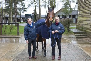 Katie Jerram-Hunnable and Chris Hunnable feed Horslyx Balancers to their team of show horses