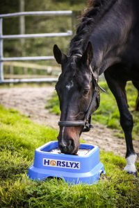 Horse Licking 15kg Horslyx