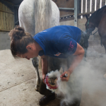 Abby Bunyard Mini Horslyx Farrier Ambassador