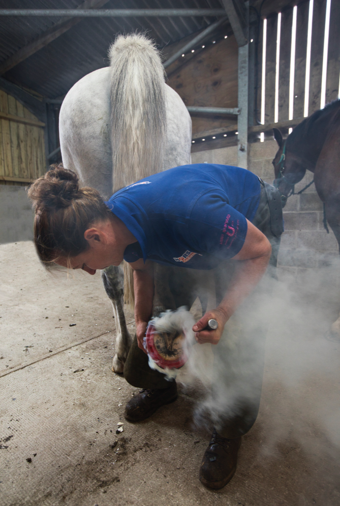 Abby Bunyard Mini Horslyx Farrier Ambassador