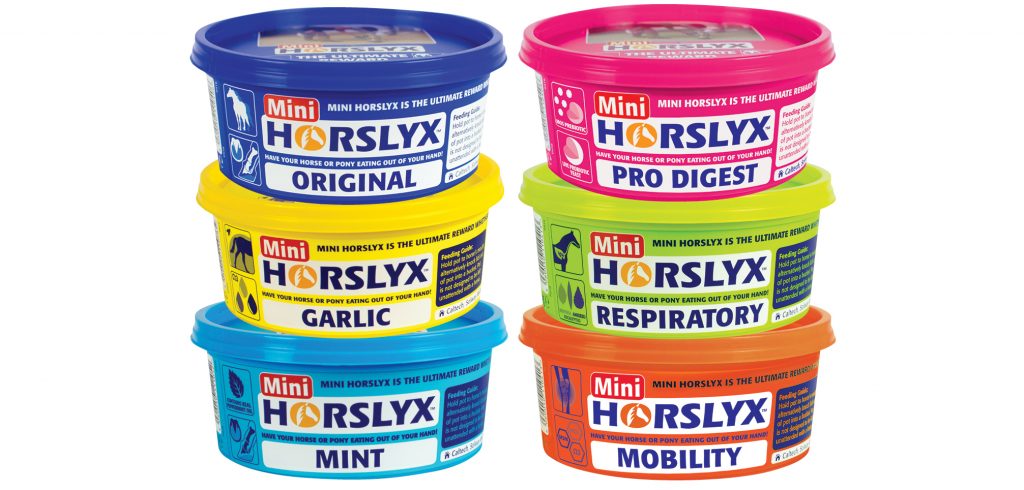 MIni Horslyx Original Mint Garlic Mobility Respiratory Pro Digest