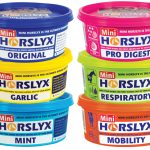MIni Horslyx Original Mint Garlic Mobility Respiratory Pro Digest