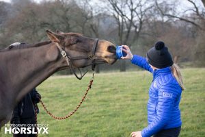Harriet Beecroft Mini Horslyx Ambassador