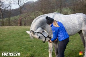 Harriet Beecroft Mini Horslyx Ambassador