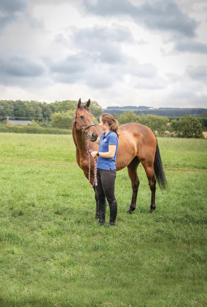 HORSLYX