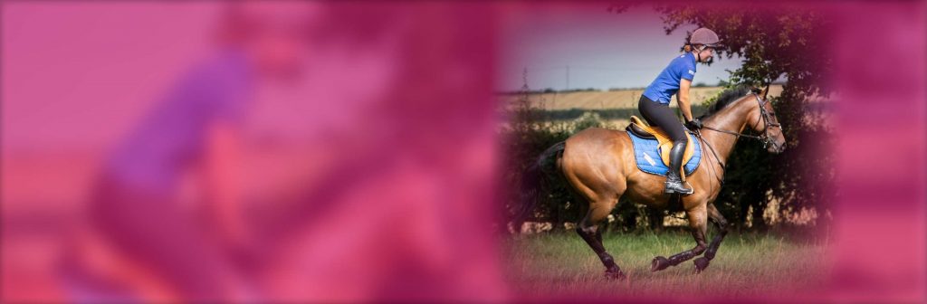 HORSLYX