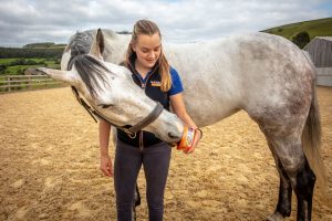 Love is stretching exercises with Mini Horslyx