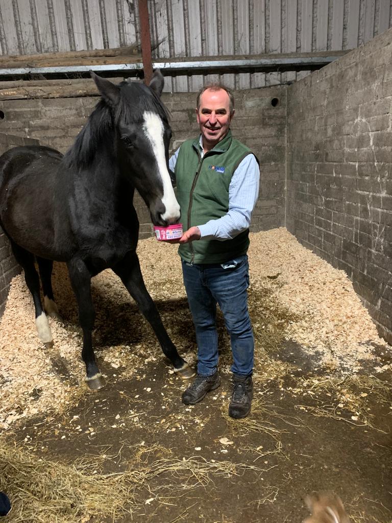 Horslyx Ireland Agent