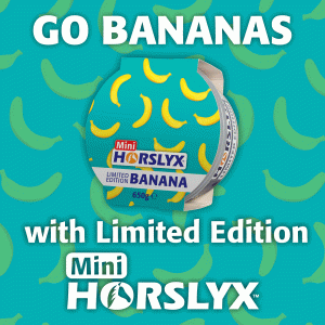 Limited Edition Banana Mini Horslyx